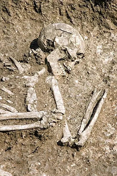 Большое количество человеческих останков найдено в подвале Бен Франклина