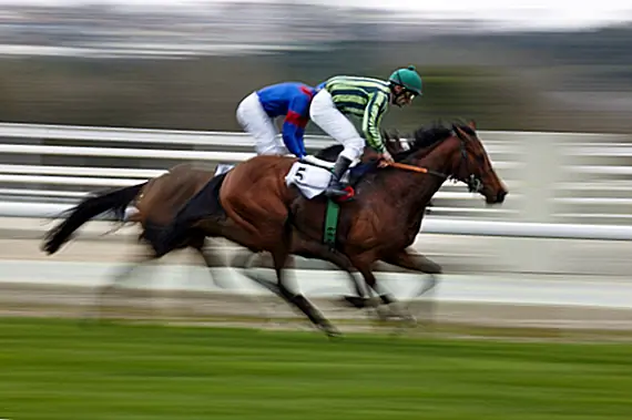 Самые большие шансы на оплату и самые большие расстройства в крупных спортивных ставках