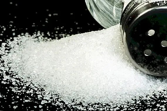 Солт-девочка Мортона