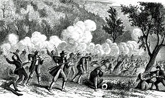 Резня в горных лугах 1857 года