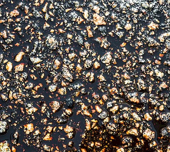 Таинственный Черный Го из Венесуэлы: Ла Манча Негра