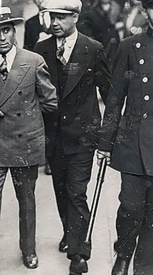 Отряд единомышленников