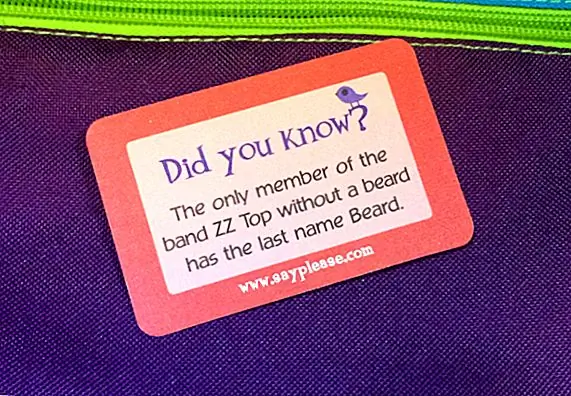 Единственный член ZZ Top, у которого нет борода, - Франк Борода