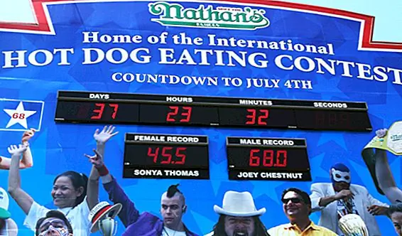 Происхождение Конкурсов Конкурсного питания