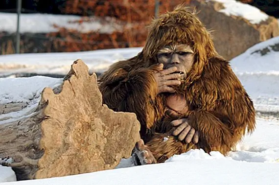 Происхождение легенды Bigfoot