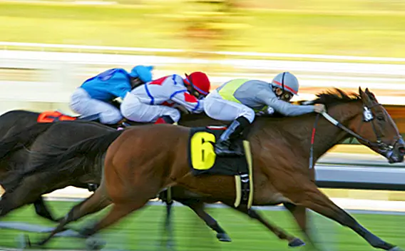 Происхождение выражения «Piss Like Racehorse»