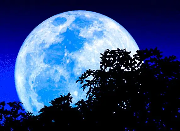 Происхождение фразы «Однажды в голубой луне»