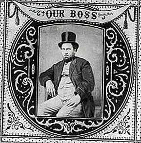 Политический деятель