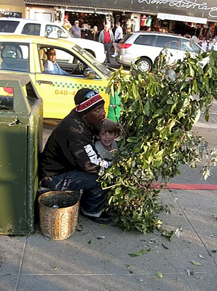Сан-Франциско Бушман