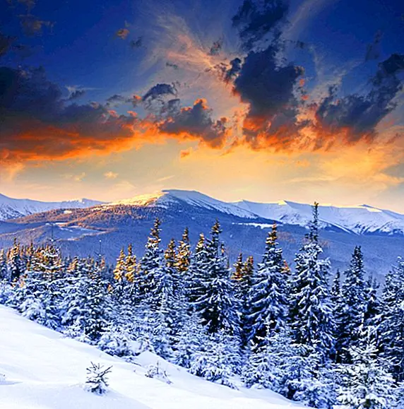 Сибирская семья, которая не увидела другого человека более 40 лет