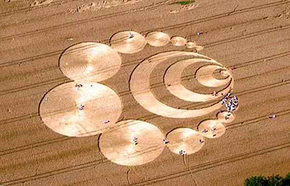 История за пределами кругового круга