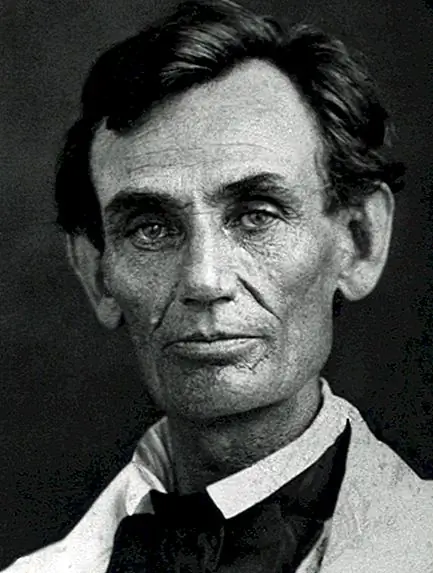 История семейного дерева Честного Абэ