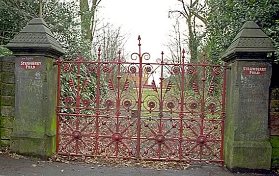 История клубничных полей навсегда