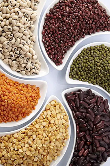 История увлекательного боба