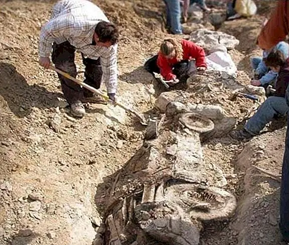 Странная вещь, когда-либо найденная на съемочной площадке