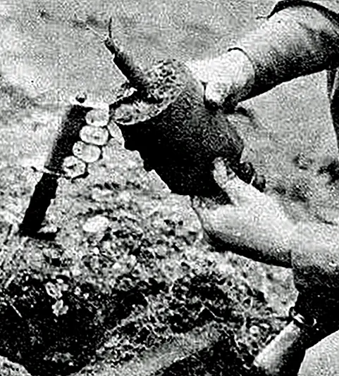 Исключительно эффективный нацистский «де-бомбардир»