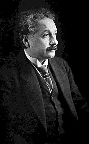 The Theft и Half Century Journey of the Einstein's Brain