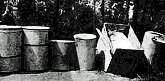 Вампир из Цинкоты