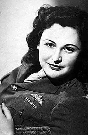 «Белая Мышь», которая стала самой украшенной службой Великой Отечественной войны в Великой Отечественной войне