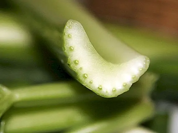 Нет такой вещи, как отрицательная пищевая калория