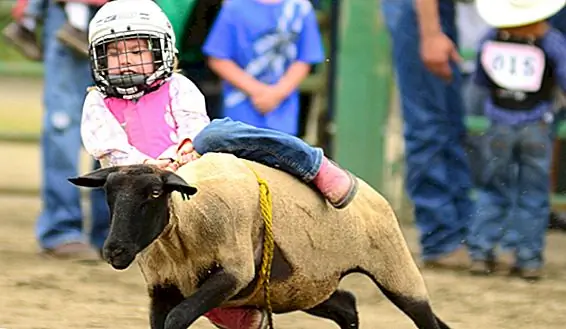 Это не мой первый родео