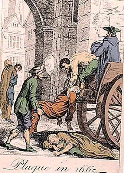 Жабы вокруг шеи и принуждение детей дышать - побег из Великой чумы Лондона (1665-1666)