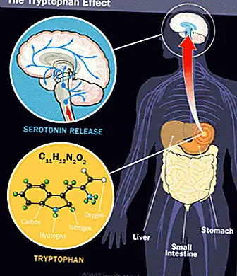 Турция не делает вас сонливым после того, как вы съели его
