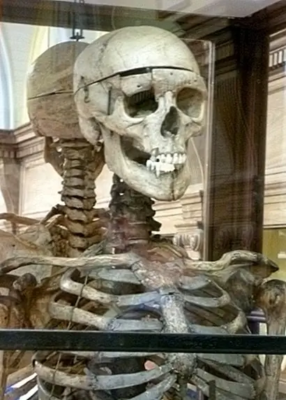 Двое мужчин убили 15 человек в течение года, чтобы продать тела, как кавалеры для студентов колледжей