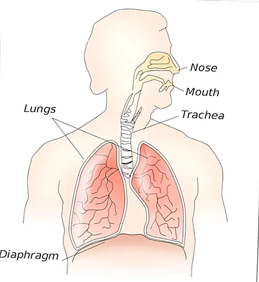 Что вызывает икоту