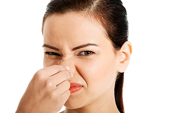 Что такое "P.U." (Как в Something Smelly) Стенд для?