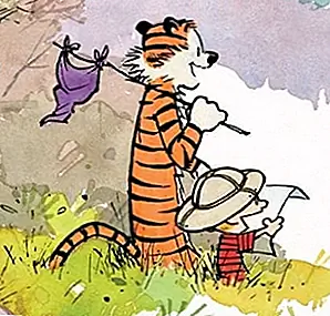 Что когда-либо случалось с Создателем Кальвина и Гоббса?