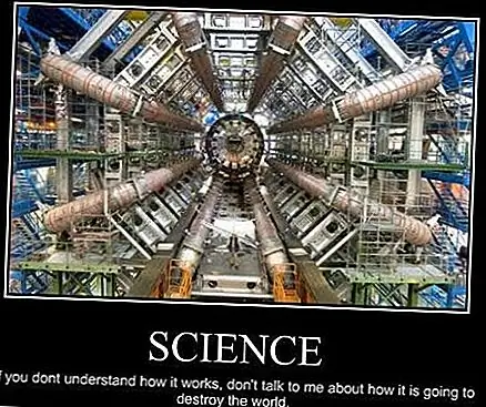 Что происходит, когда вы вставляете свою голову в ускоритель частиц