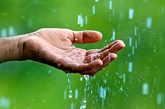 Что такое самый большой дождь?