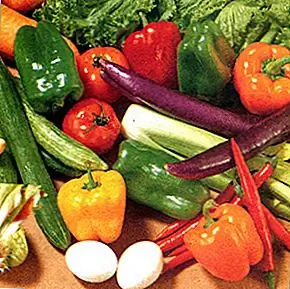 Что такое восемь соков в V8 Vegetable Juice