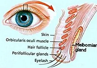 Что такое «Сон» в ваших глазах