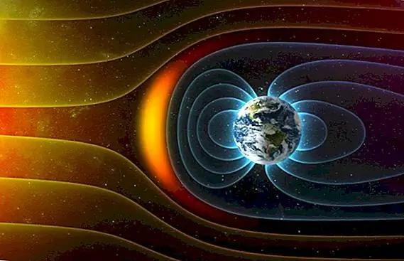 Что произойдет, когда магнитное поле Земли переключится или скроется