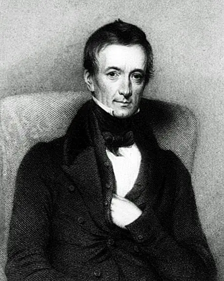 Что такое другое слово для тезауруса?