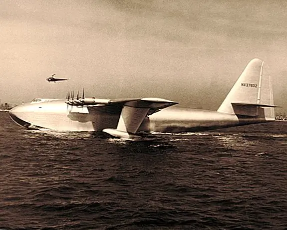 Когда Елочный гусь пролетел