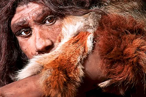 Куда пошли все неандертальцы?