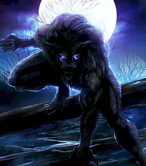 Откуда взялась идея оборотней?