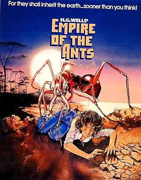 Где выражение «Я за одного приветствую наших новых X Оверлордов» пришел из