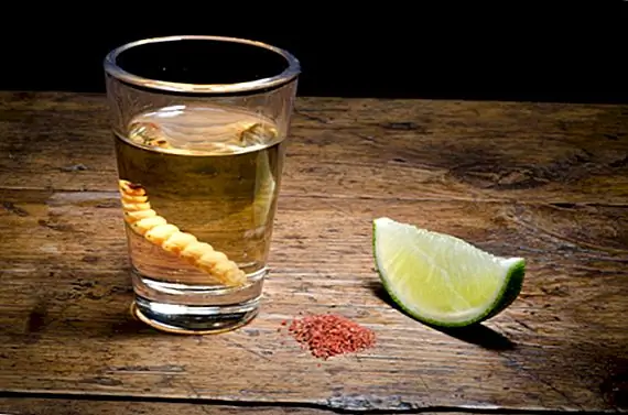 Кто изобрел текилу и как насчет червя?