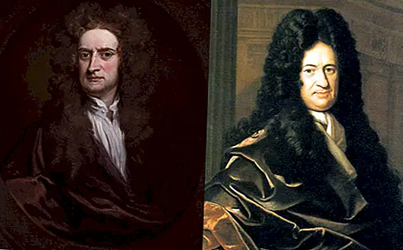 Кто действительно изобрел исчисление