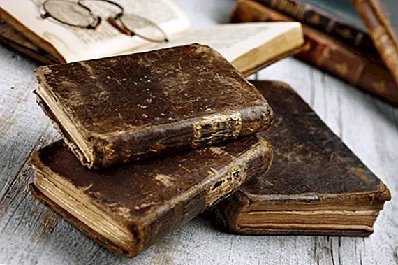 Почему книги называются книгами