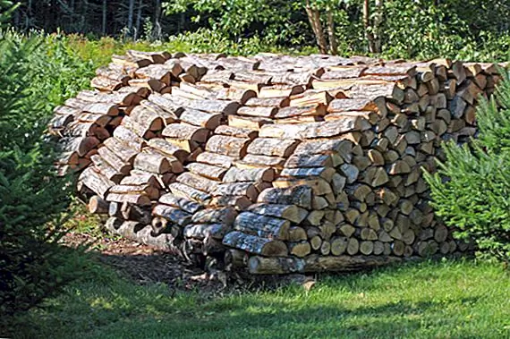 Почему дрова измеряются в шнурах и происхождении других нечетных единиц измерения