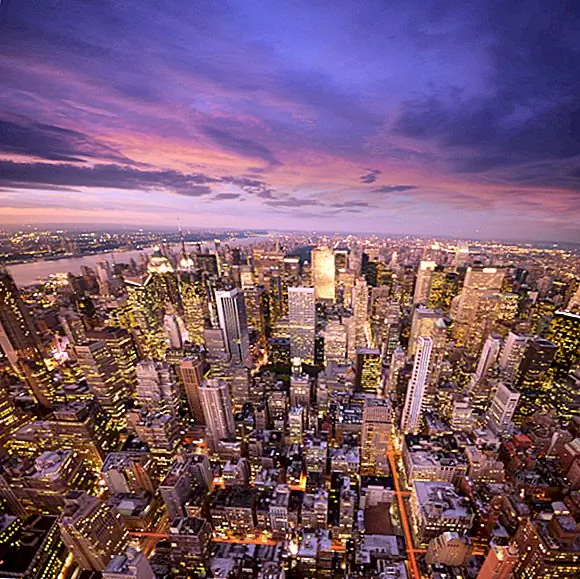 Почему Нью-Йорк называют «Большим Яблоком»,