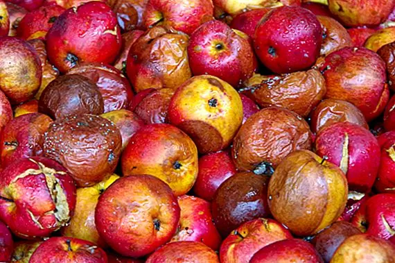 Почему одно плохое яблоко портит кучу