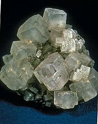 Почему соль усиливает вкус