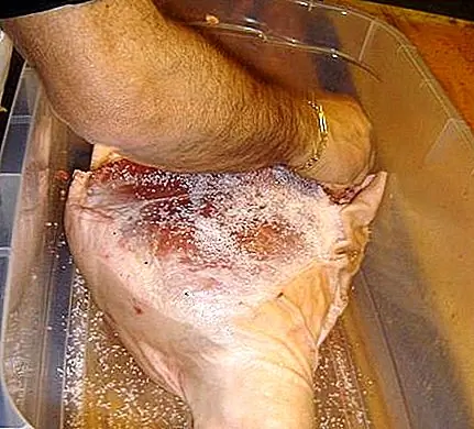 Почему соль консервирует мясо