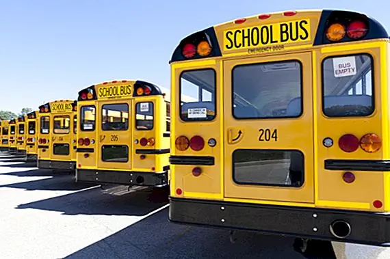 Почему школьные автобусы желтые и почему у них обычно нет ремней безопасности